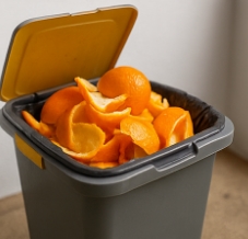 귤껍질 음식물쓰레기