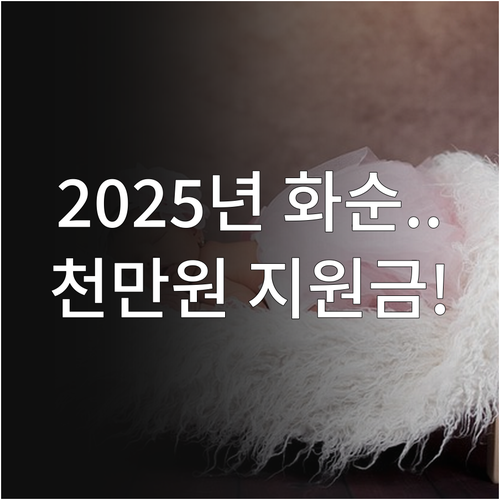 최대 1,150만원 화순군 출산양육지..