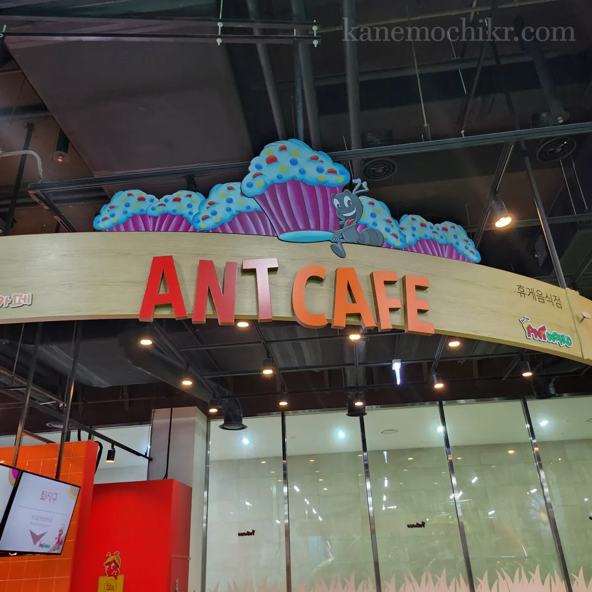 앤트월드-앤트카페