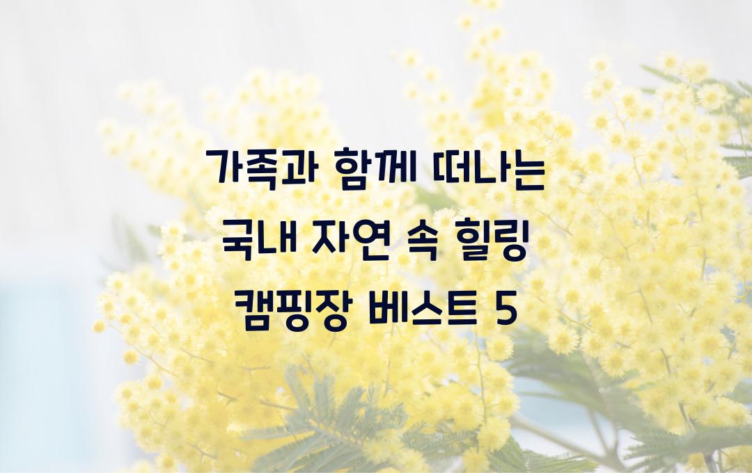 가족과 함께 떠나는 국내 자연 속 힐링 캠핑장