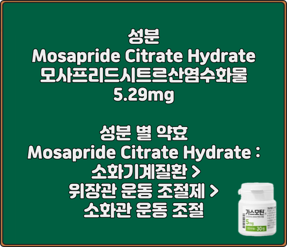 가스모틴정_성분