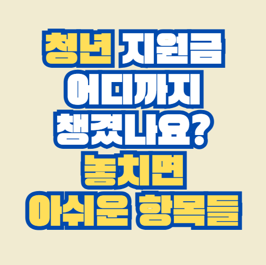 청년_지원금