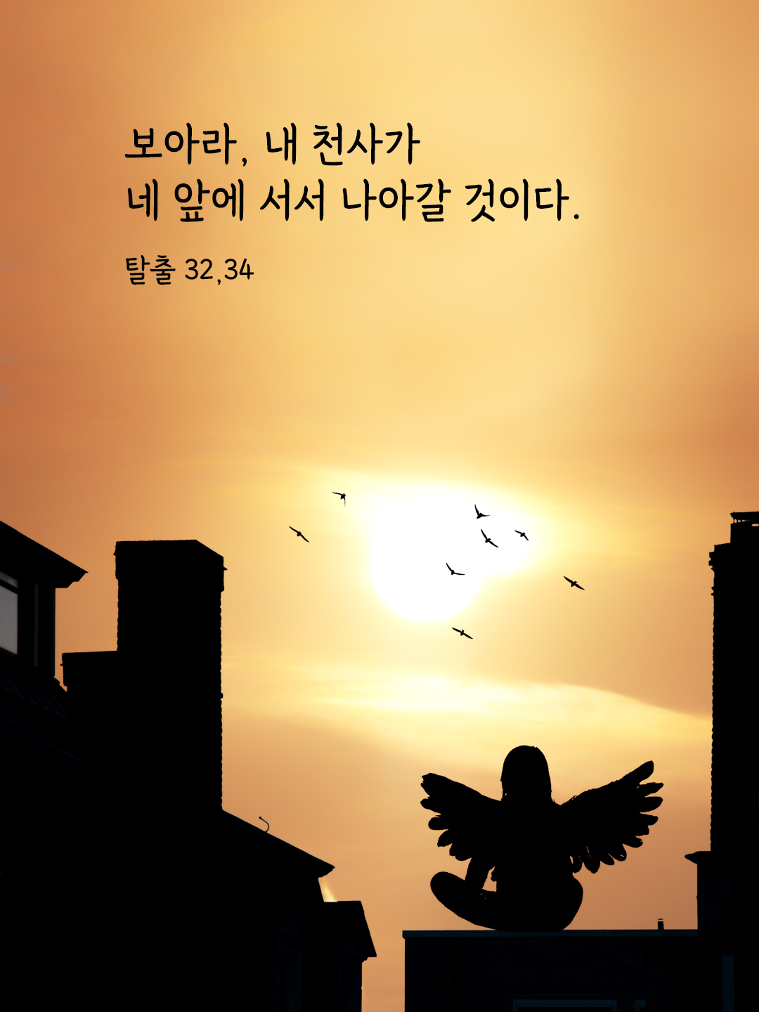 보아라, 내 천사가 네 앞에 서서 나아갈 것이다. (탈출 32,34)