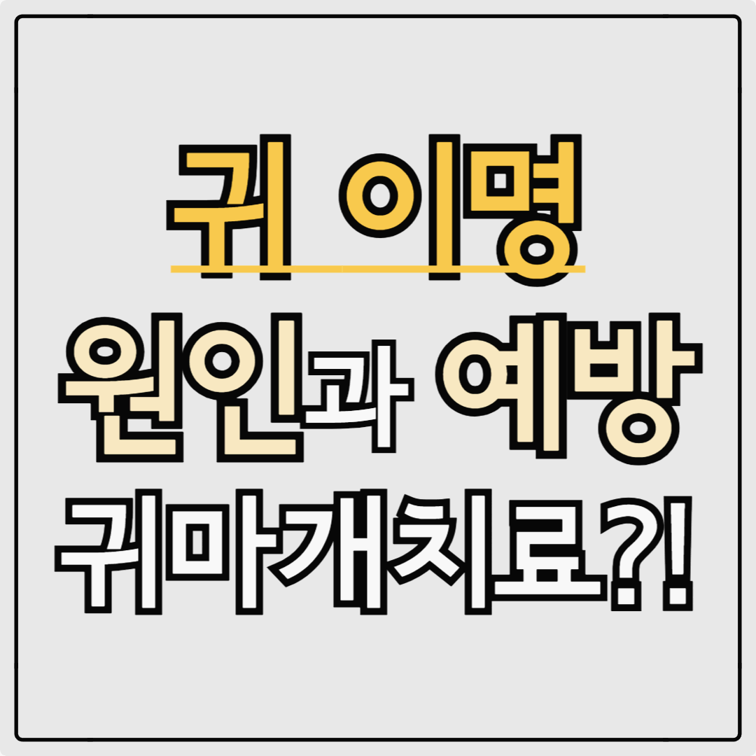 귀 이명 원인과 예방 및 귀마개 치료법