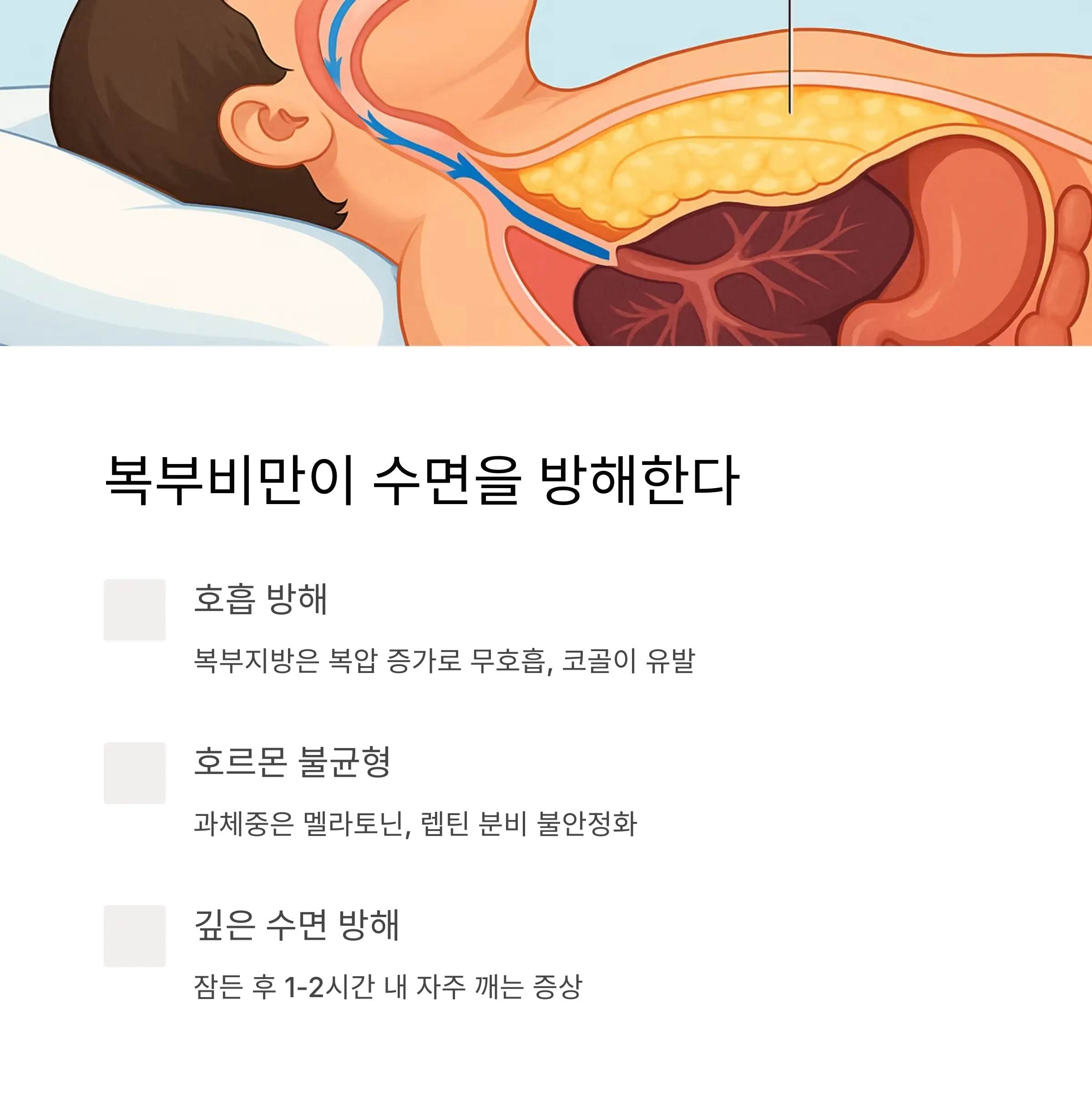 복부비만이 수면 리듬을 흔든다