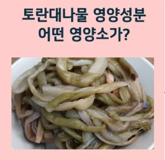토란대줄기 수확시기토란대 말리는 방법까지 안내_16