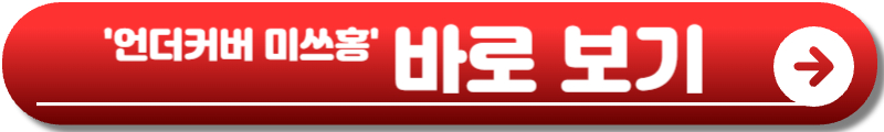 언더커버 미쓰홍