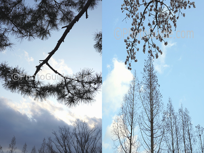 포토샵 사진 두장 합치기