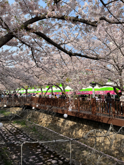 여좌천로망스다리3