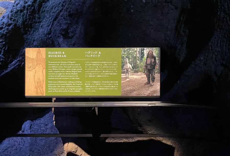 해그리드와 벅비크