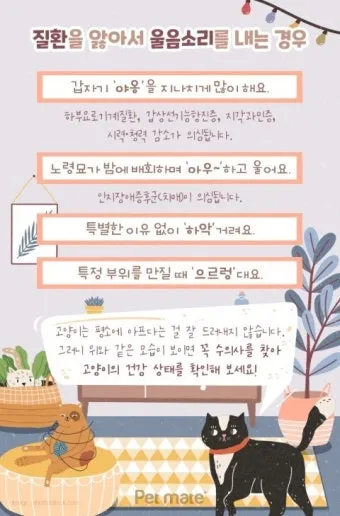 &amp;quot;고양이