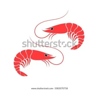 새우 요리 11가지 황금레시피_13