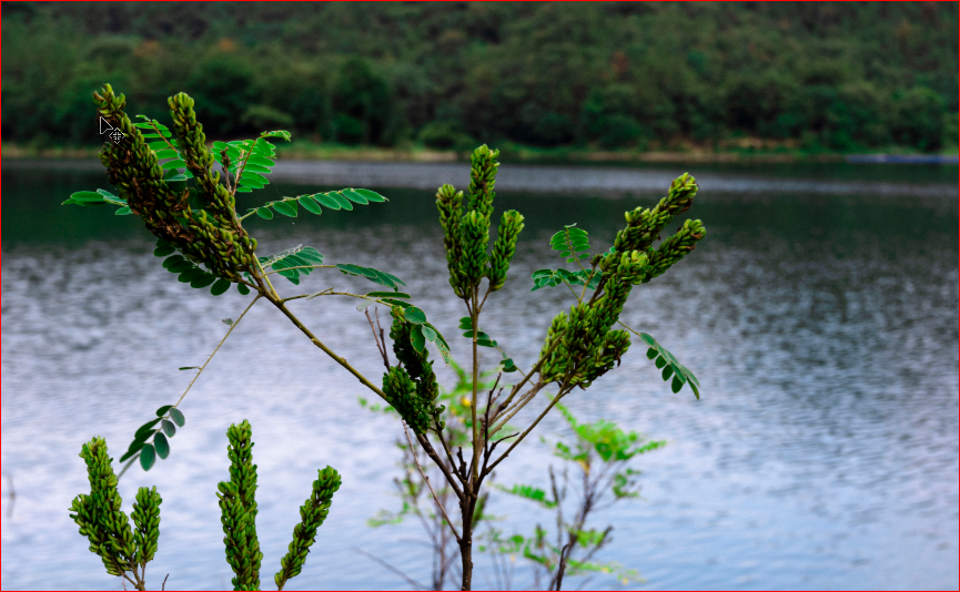 이미지 불러오기