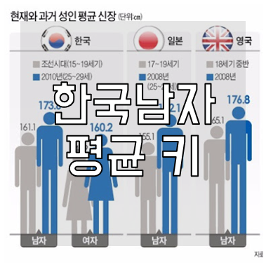 한국남자 평균키
