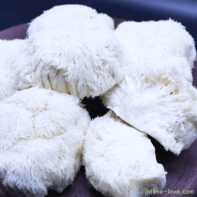 노루궁뎅이버섯 효능