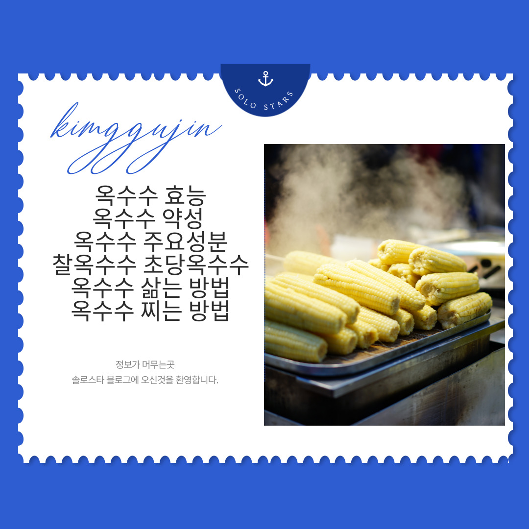옥수수 사진