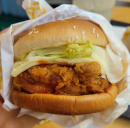 2025년 치킨 프랜차이즈 인기순위 TOP 10