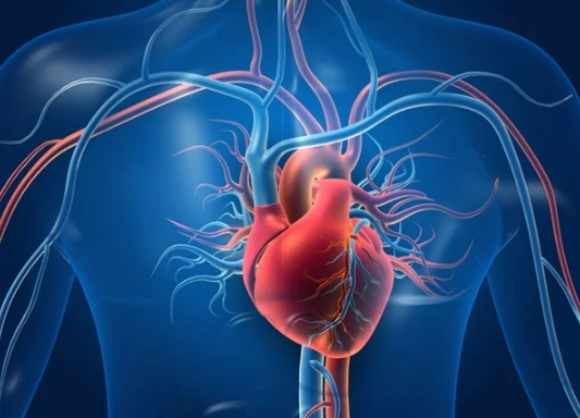 부정맥 이란? 검사방법