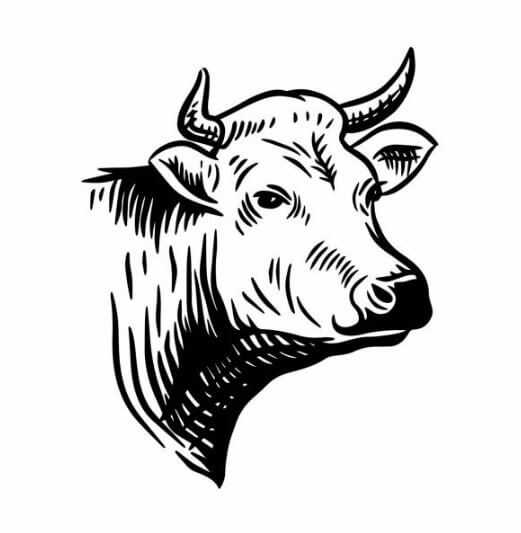 97년생소띠운세