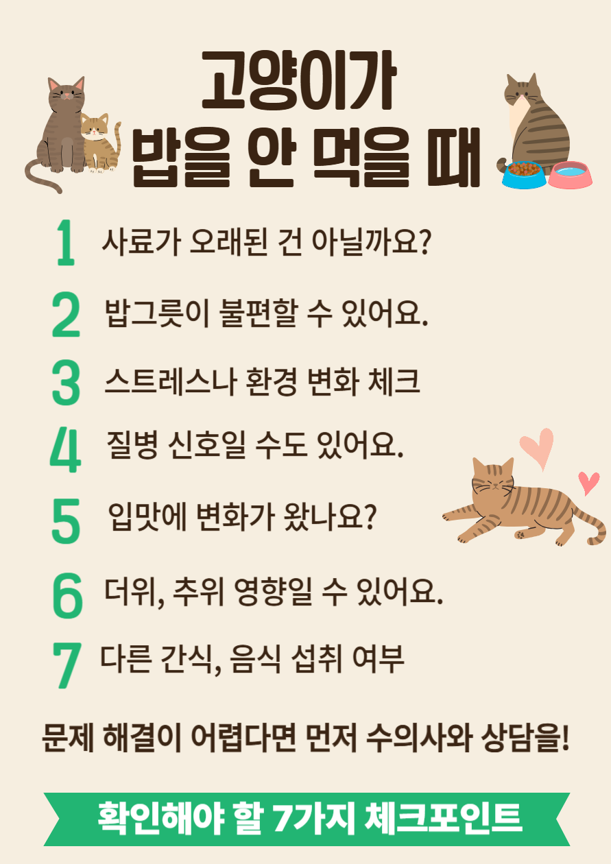 고양이가 밥을 안 먹을 때4