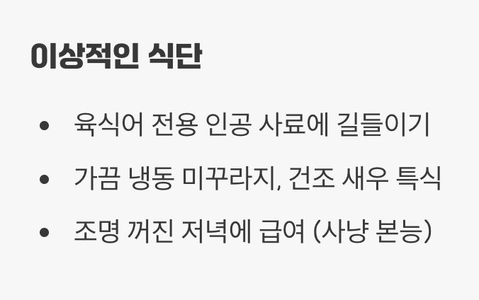먹이 - '야생의 포식자'를 깨우다