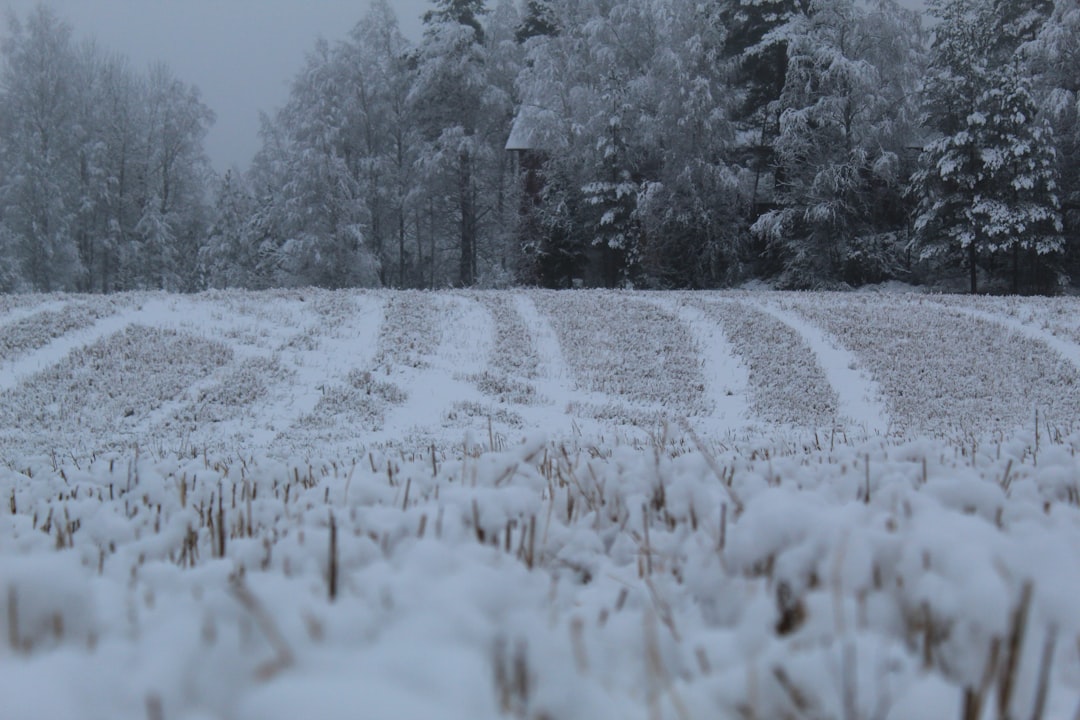 January