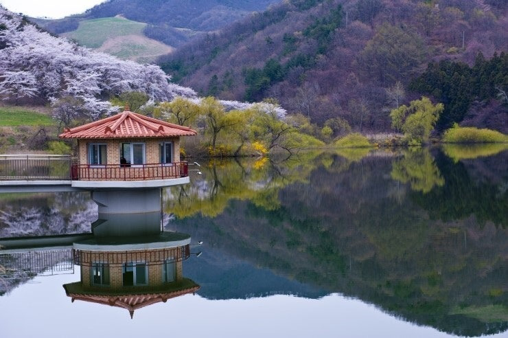 서산 정착 리얼 가이드