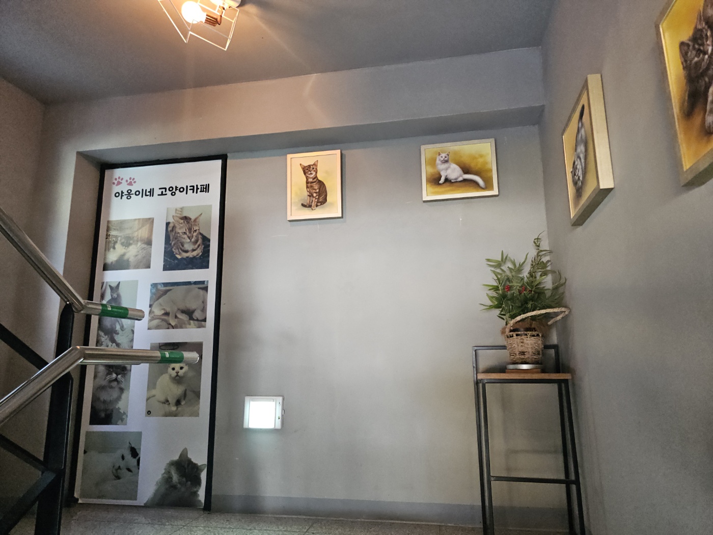 야옹이네 고양이 카페