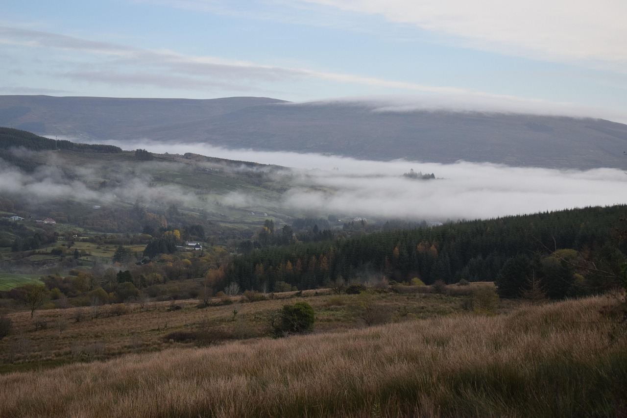 2025 관악형 주민 건강실천단