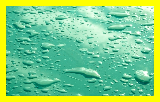 오션월드놀이시설&amp;#44; 오션월드정글풀&amp;#44; 오션월드물놀이코스&amp;#44; 오션월드경사진구간&amp;#44; 오션월드노약자이용&amp;#44; 오션월드안전요원&amp;#44; 오션월드장애인편의시설&amp;#44; 오션월드반입금지물품&amp;#44; 오션월드매점&amp;#44; 오션월드푸드코트&amp;#44; 오션월드카페