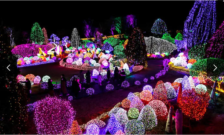 겨울 축제 가볼만한 곳 아침고요 수목원 오색별빛정원전