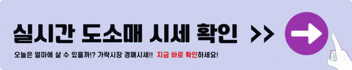실시간 도매 소매 시세 확인