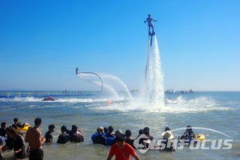 보령 머드축제
