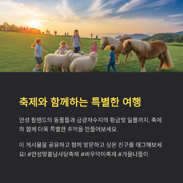 축제와 함께하는 특별한 여행