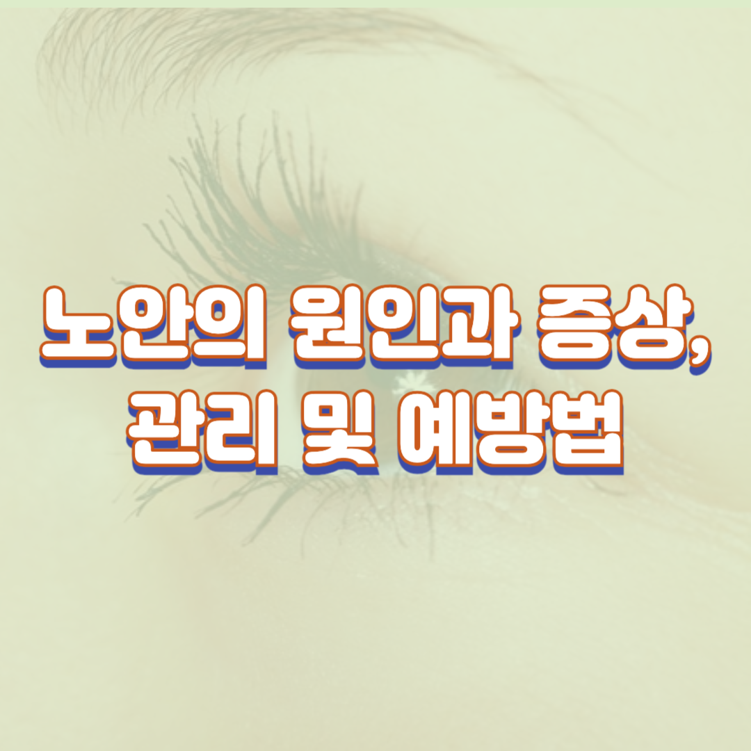 노안의 원인과 증상 관리 예방법