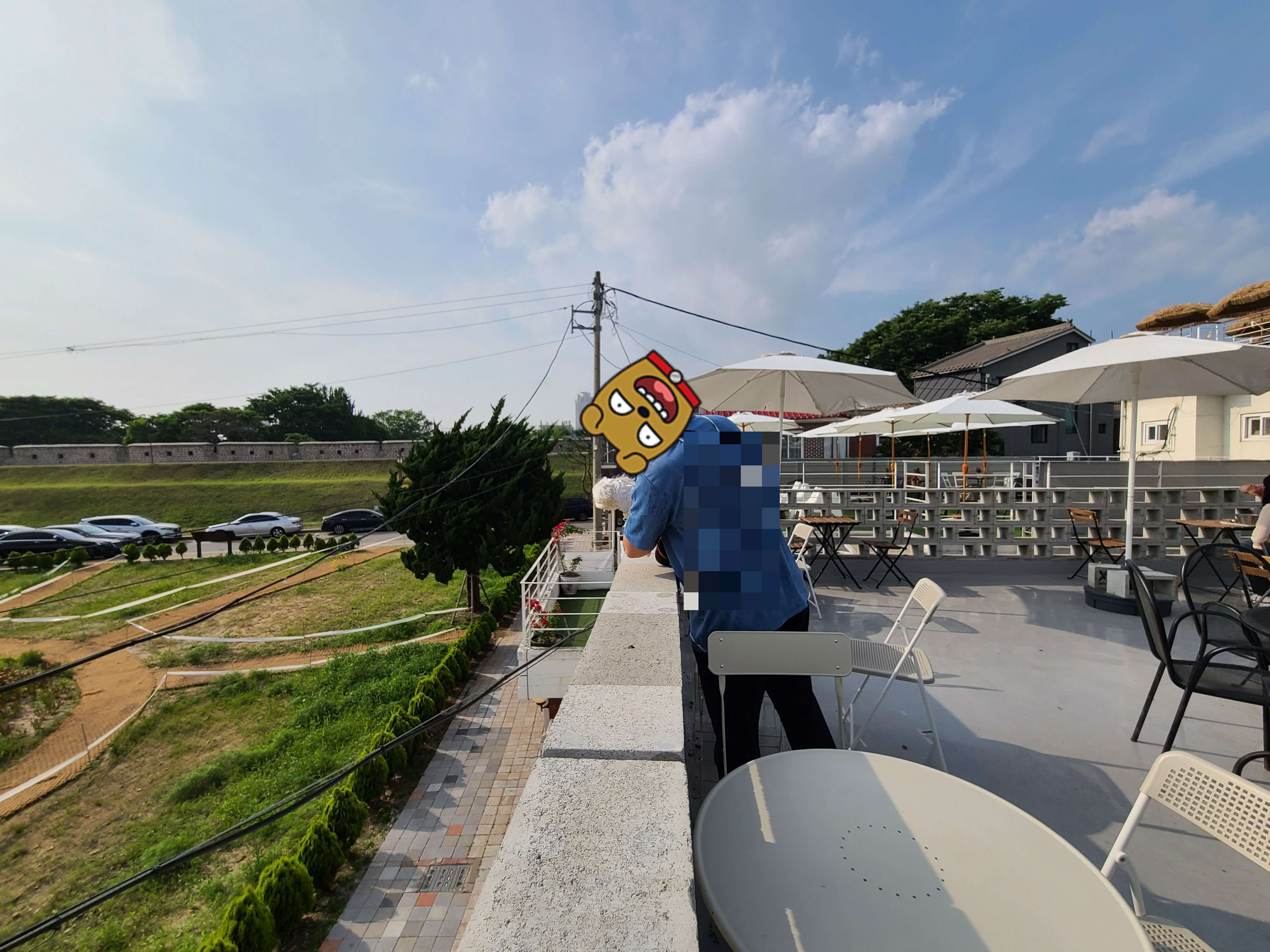 수원 애견동반카페