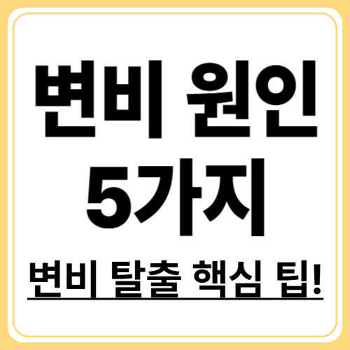 변비의 진짜 원인 5가지! 생활 속 습관부터 점검하세요