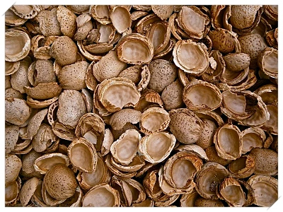 식도염 좋은 음식