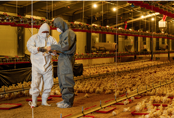 하림-주가-전망-배당금-HMM인수-알아보기