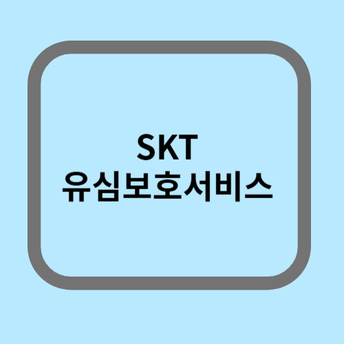 SKT 유심보호서비스