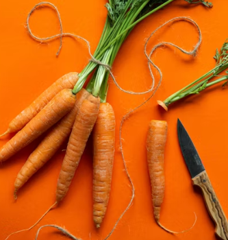 당근 효능 부작용 고르는법 칼로리