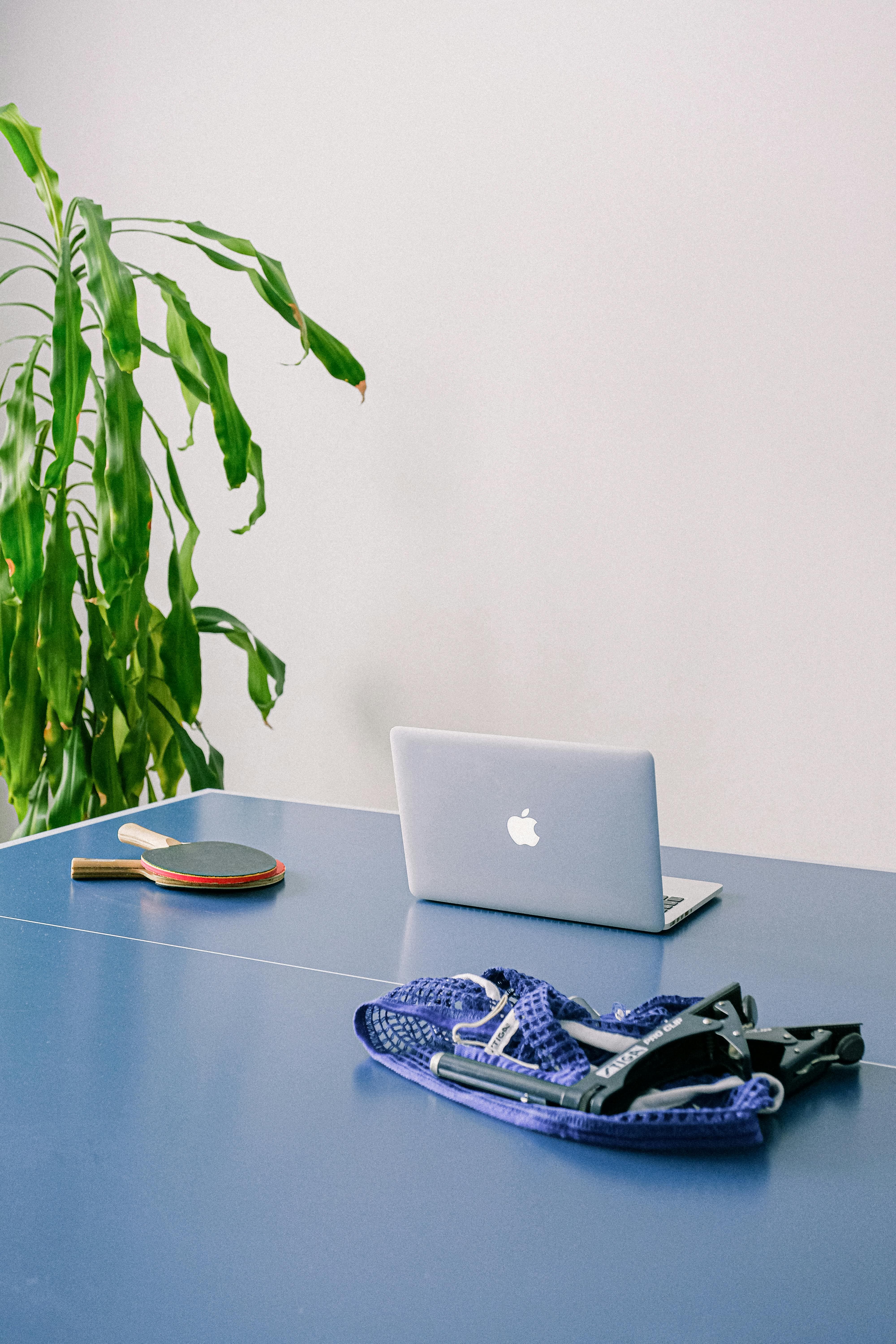 학교 탁구 대회의 교육적 의미와 긍정적 효과