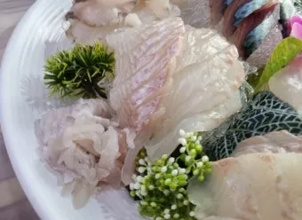 대포항 회센터 맛집 회거리 산책 주차 바다뷰 카페까지_23