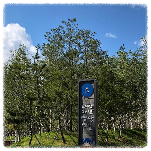 오대산 깊은 숲속에 자리한 자연명상마을