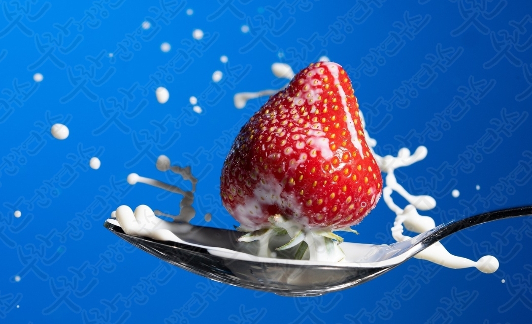 셀트리온 초유 단백질1