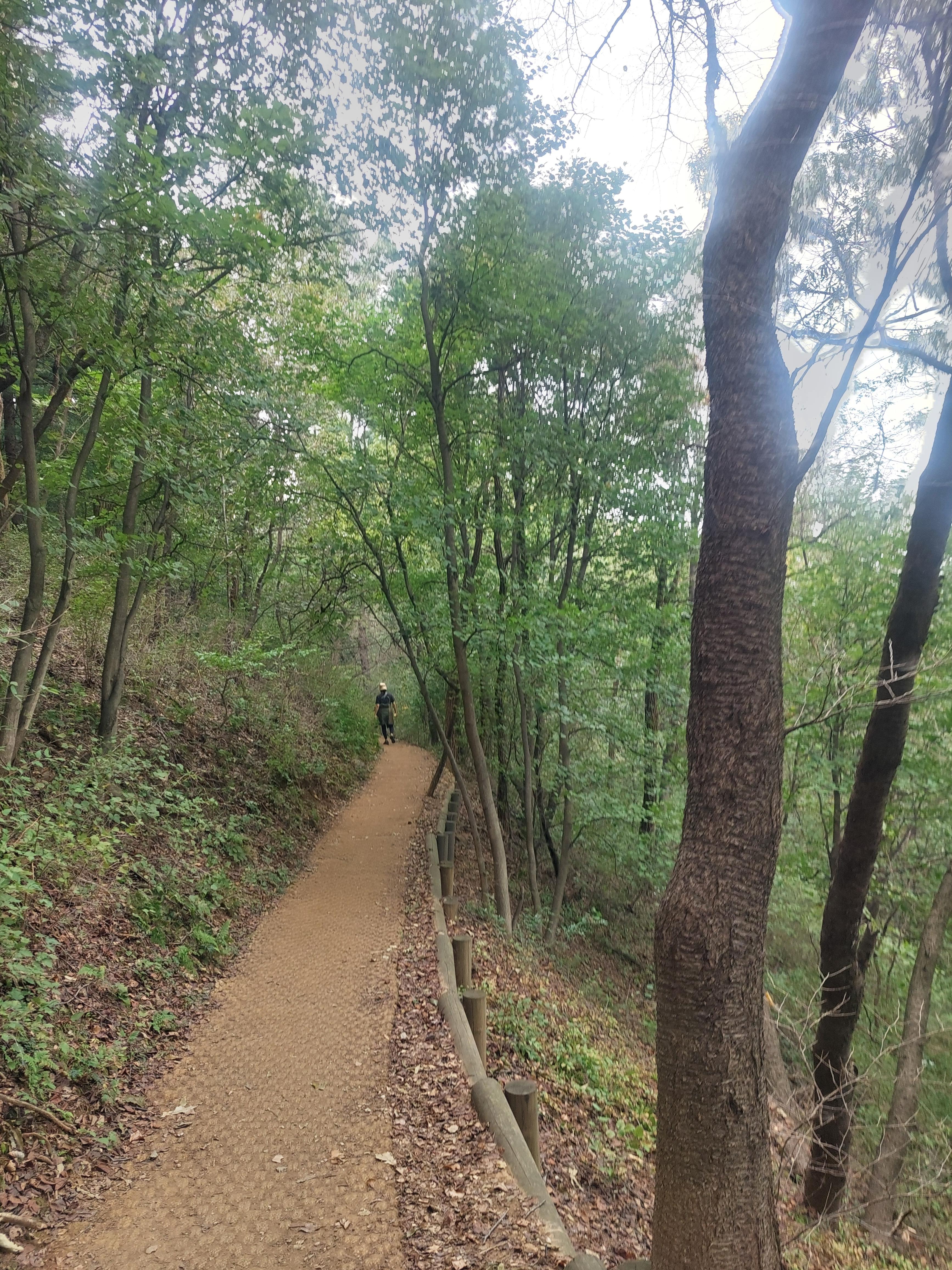 안산