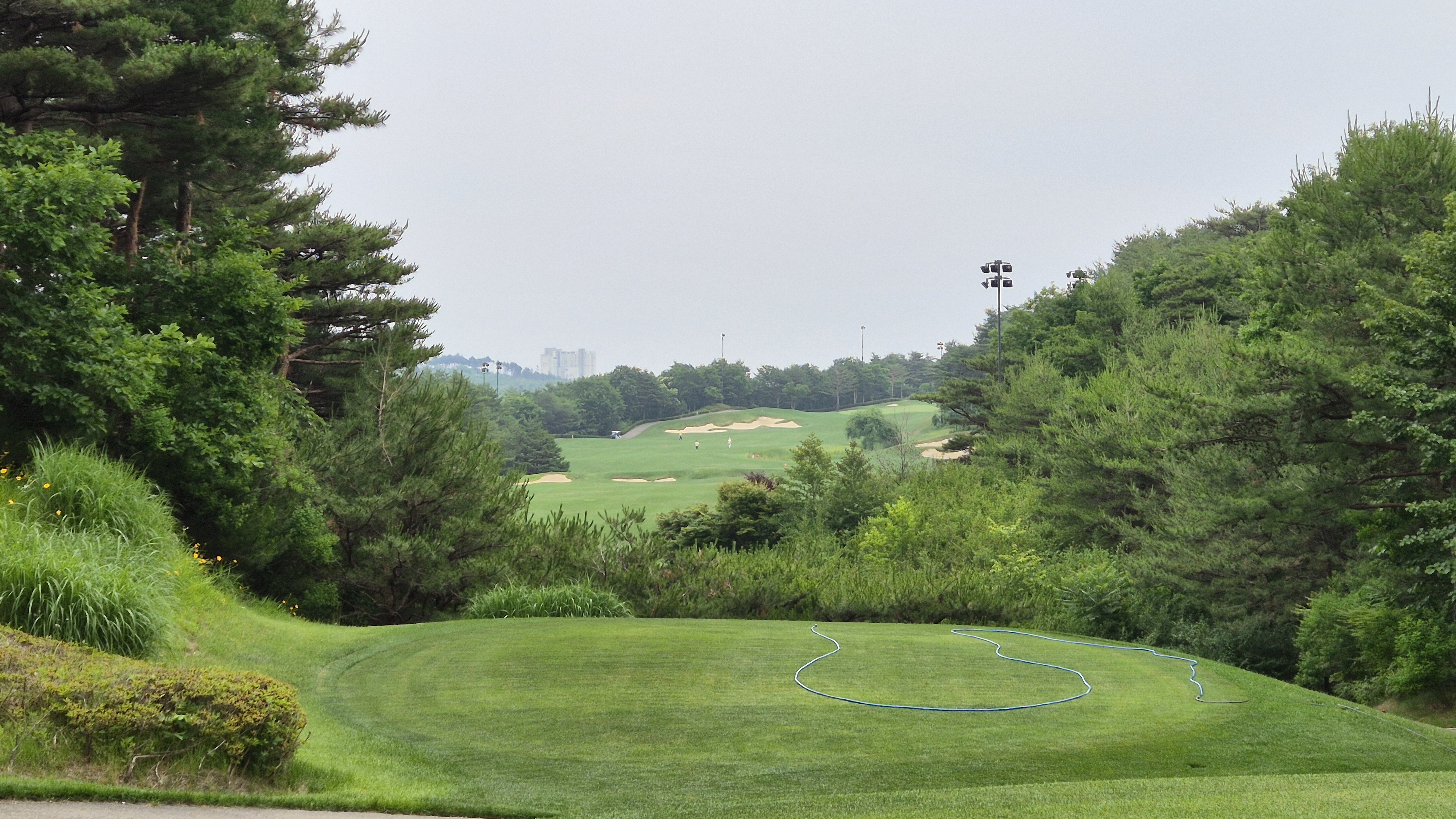 파인리즈cc 후기 및 코스사진