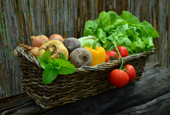 강남 맛집 독도 꽃새우영번지 메뉴 예약 가격 주차장 꿀팁