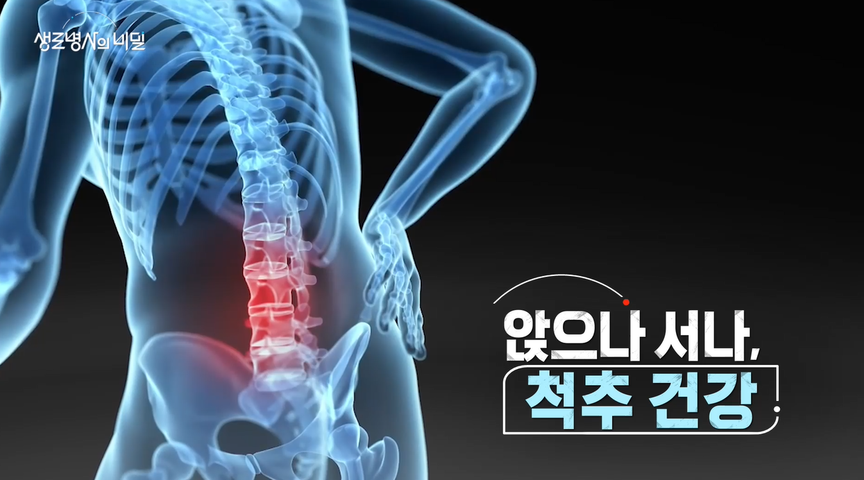 생로병사의 비밀 척추 건강