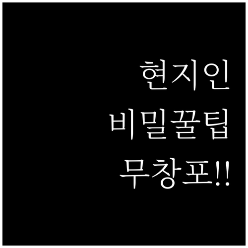 보령 무창포 주꾸미 도다리 축제 현지..